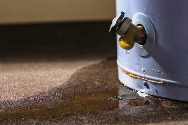 Best Water damage restoration near me  in Rochester, IL