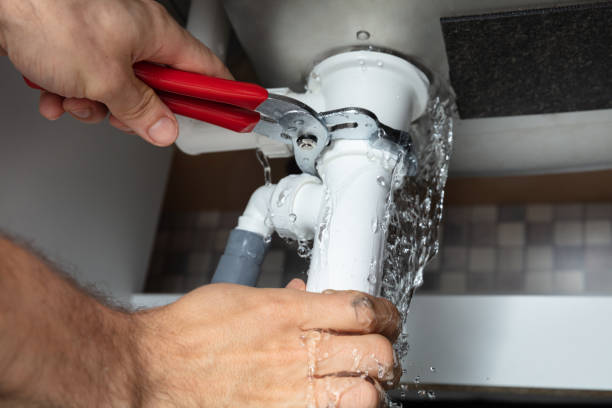 Best Basement water damage restoration  in Rochester, IL