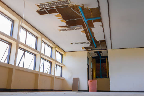 Best Flood damage cleanup  in Rochester, IL