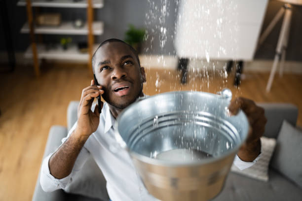 Best Water damage restoration services  in Rochester, IL