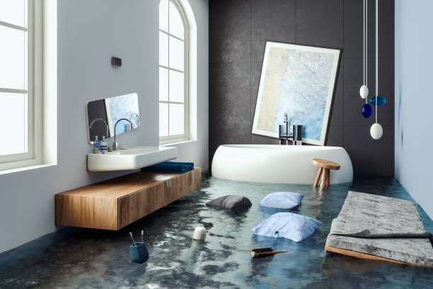 Best Local water damage restoration  in Rochester, IL