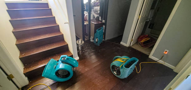 Rochester, IL Water damage restoration Company