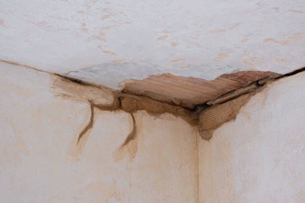 Best 24/7 water damage repair  in Rochester, IL
