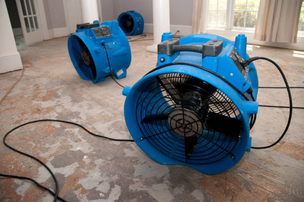 Best Flood restoration services  in Rochester, IL