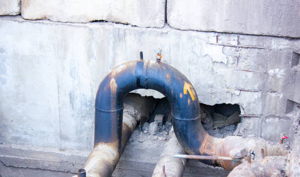 Best Carpet water damage restoration  in Rochester, IL